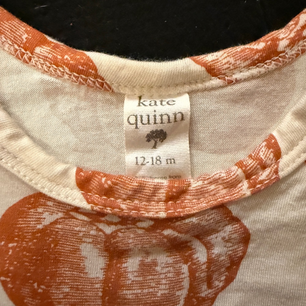 Kate Quinn Harvest Pumpkin Dress (2025) - Picture 2 of 4